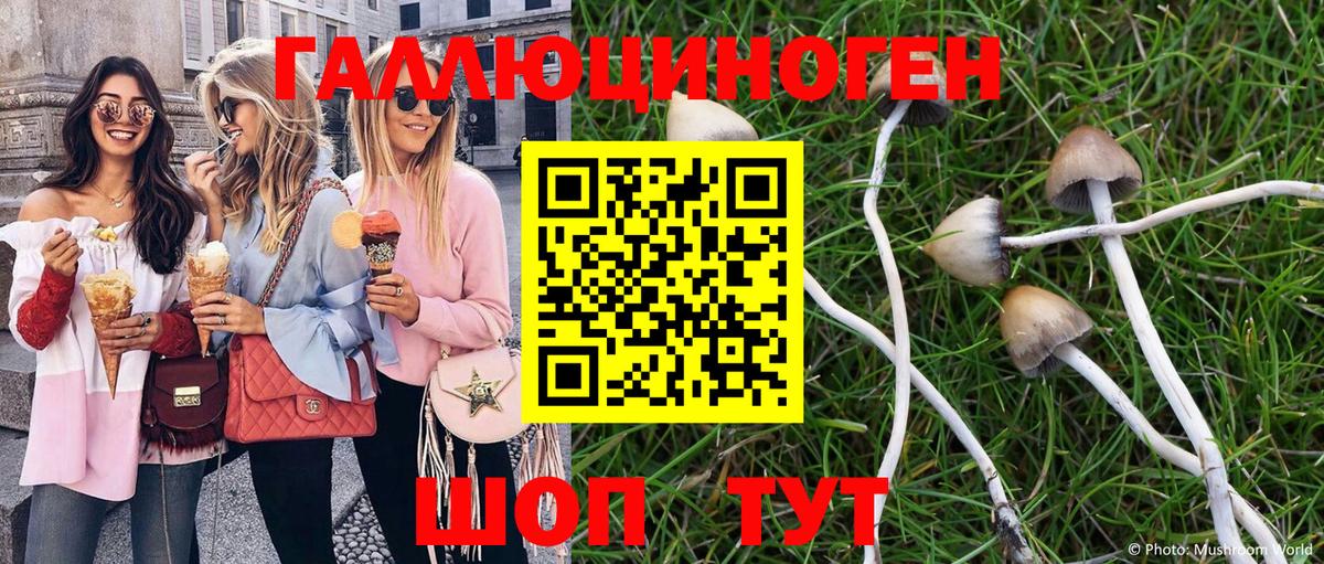 Галлюциногенные грибы Psilocybine cubensis  Вход с VPN  Губкин 